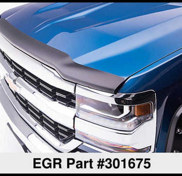 EGR 301675