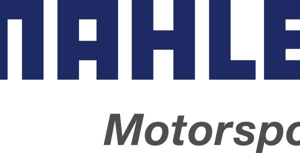 Mahle W-927