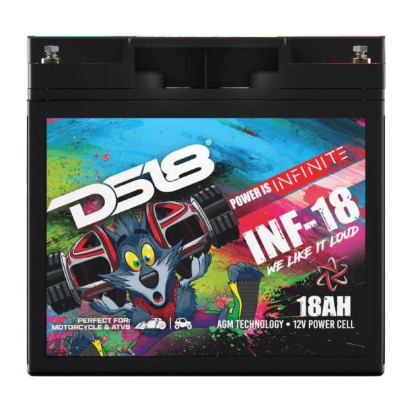 DS18 INF-18