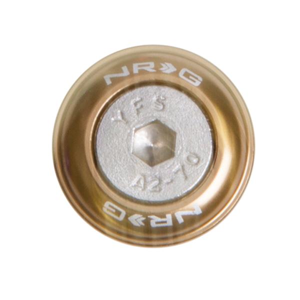 NRG FW-110TI
