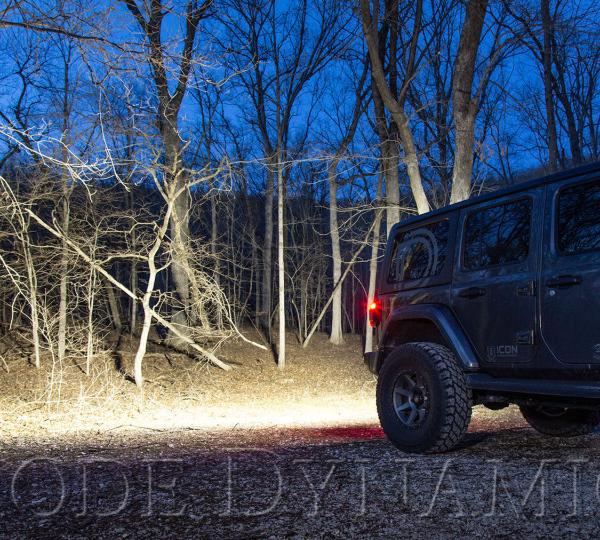 Diode Dynamics DD6112