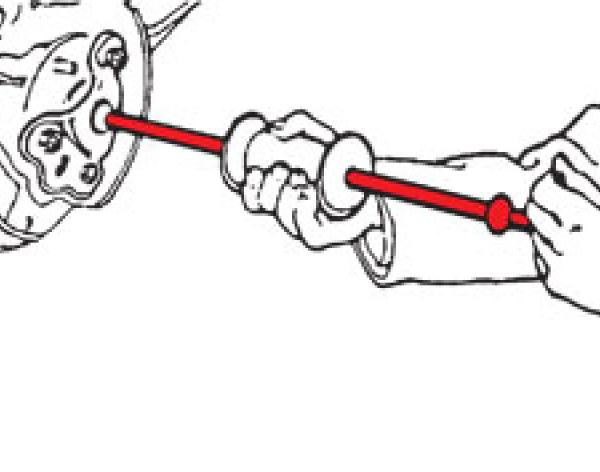 SPC Performance 499-2