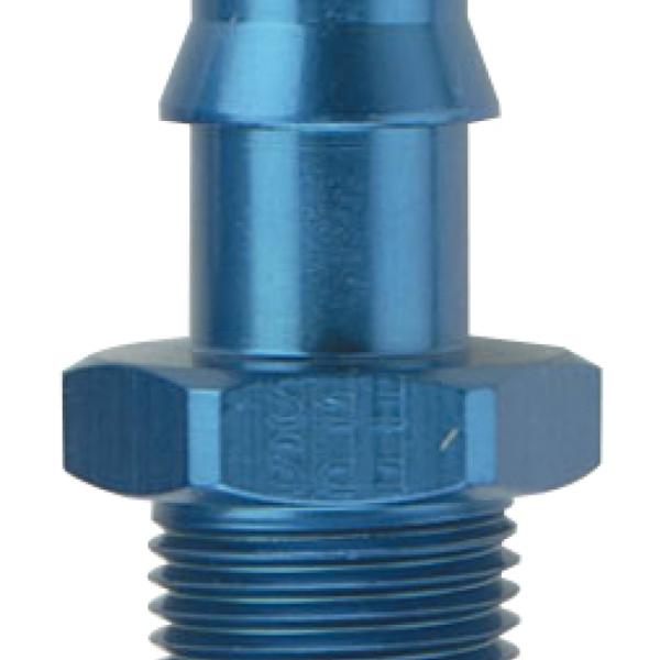 Fragola 484004