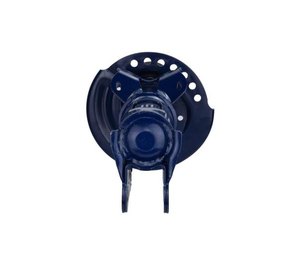 Ford Racing M-18001-AG