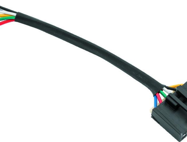 QuadBoss 403218