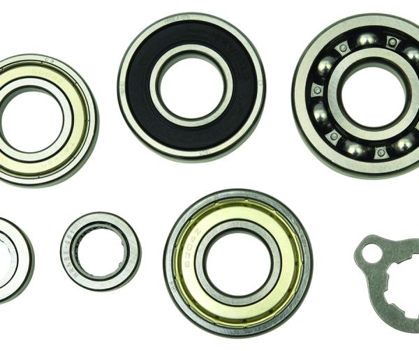 HDS Transmission Bearing Kit Hot Rods HR00082