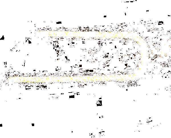 ANZO 111641