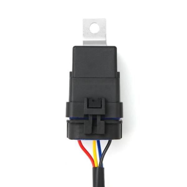 AlphaRex 810023