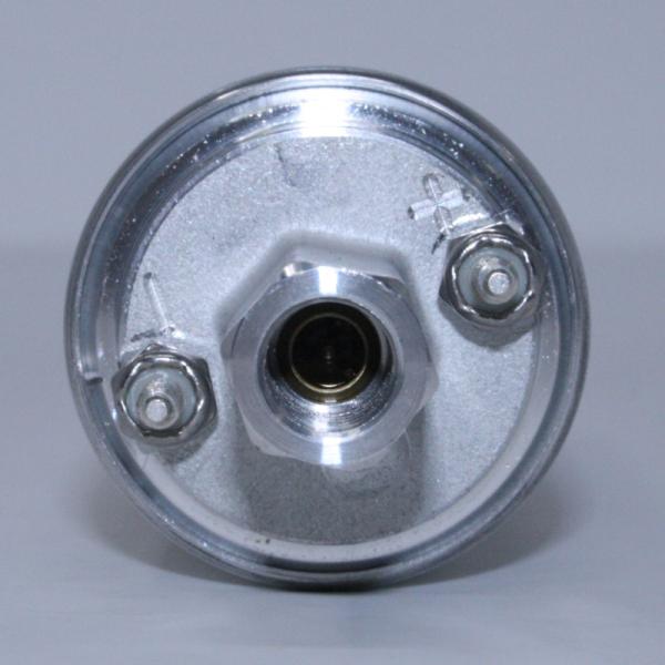 Walbro GSL391