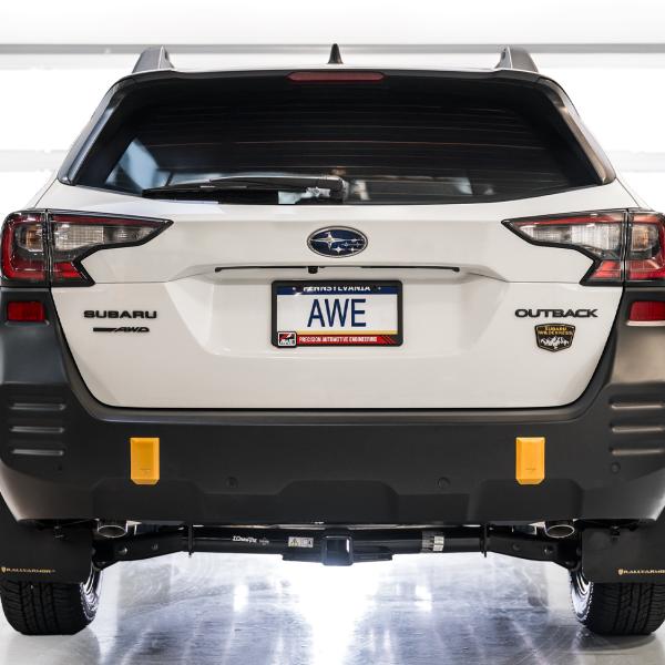 AWE Tuning 3015-38246