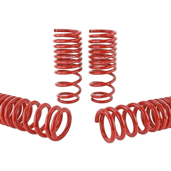 SK Lowering Springs Skunk2 Racing 519-05-1650