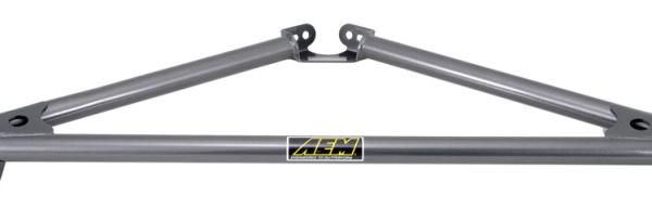 AEM Induction 29-0009