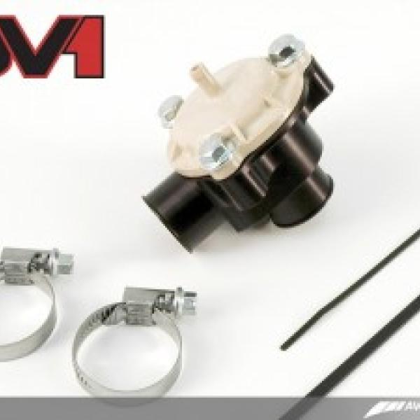 AWE Tuning 2010-11010