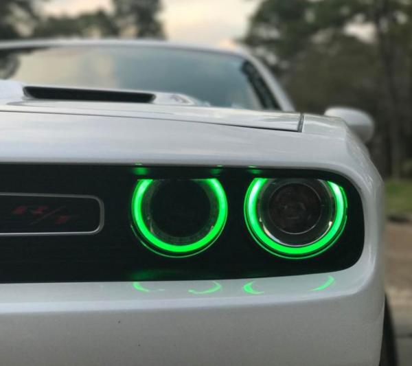 Diode Dynamics DD2002