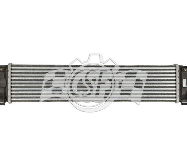 CSF 6064
