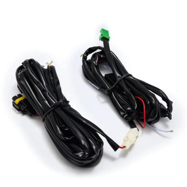 AlphaRex 211004