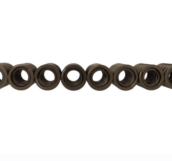 Ford Racing M-6513-17348