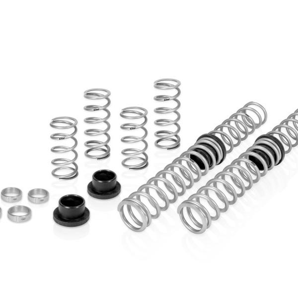 Eibach E85-209-013-02-22