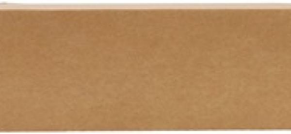 AEM Induction 21-8504DP