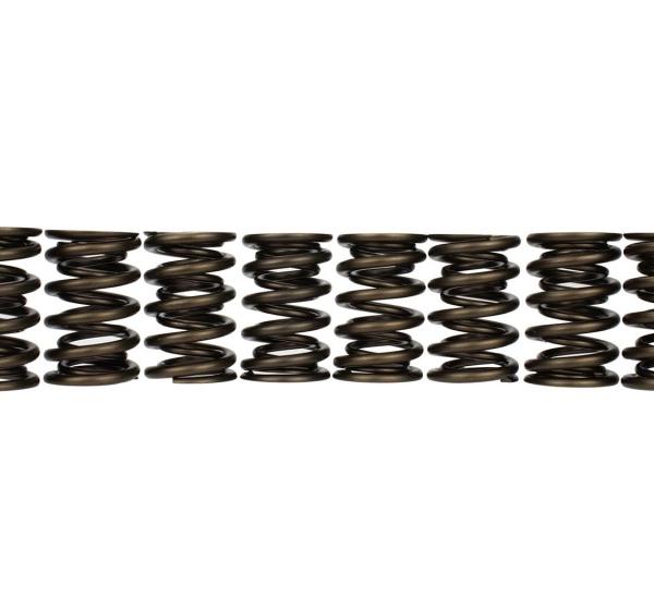 Ford Racing M-6513-17348