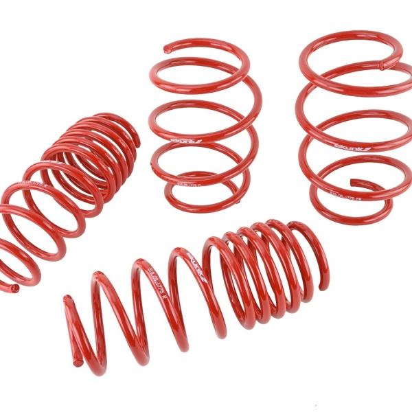 SK Lowering Springs Skunk2 Racing 519-05-1775