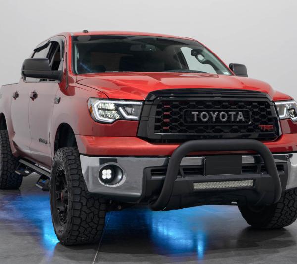 Diode Dynamics DD0442