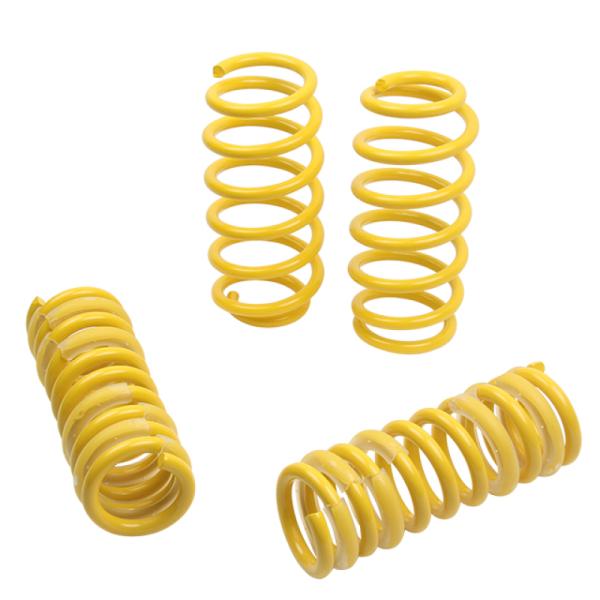 ST Suspensions 65503