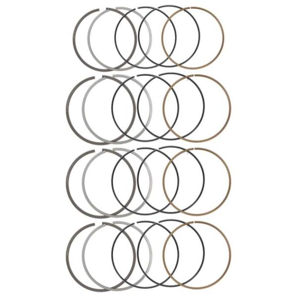 Manley Performance 461000dt-4