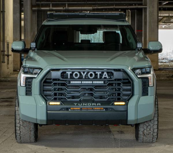 Diode Dynamics DD7417P