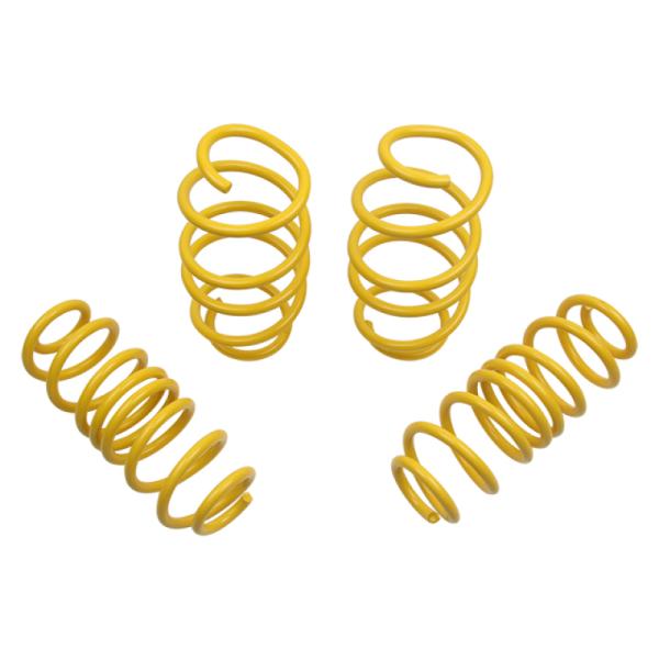 ST Suspensions 65822