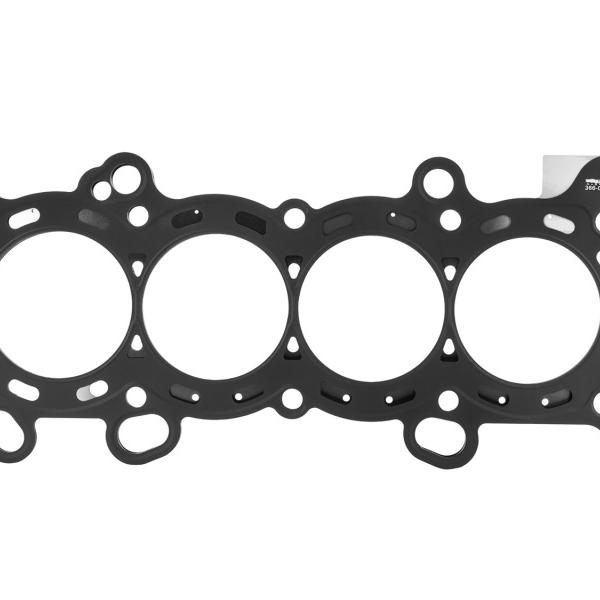 Skunk2 Racing 366-05-4300