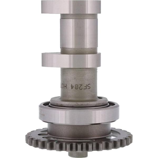 Hot Cams 2204-2E