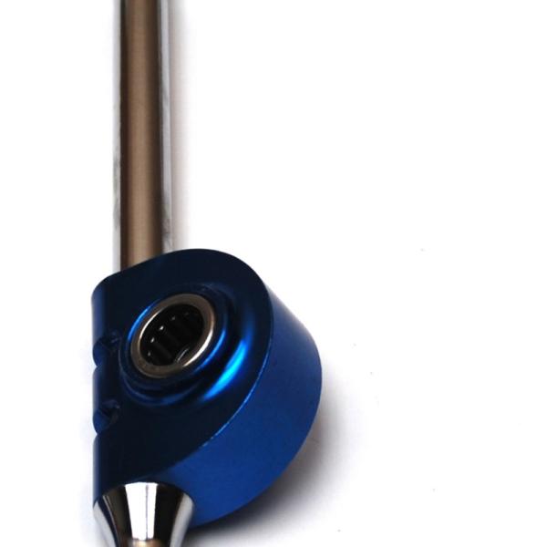 Fidanza 891829