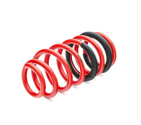 EIB Pro-Kits Eibach E10-27-004-01-22