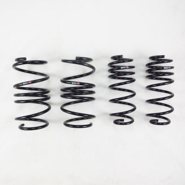 RS-R H058D