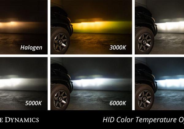 Diode Dynamics DD1204P