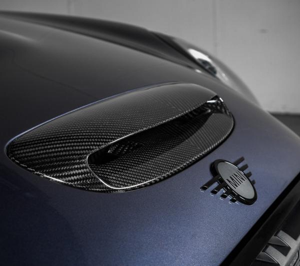 Eventuri EVE-JCWGP3-INT