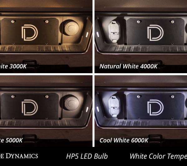 Diode Dynamics DD0031P