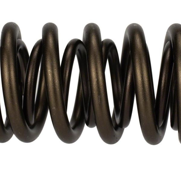 Ford Racing M-6513-17341