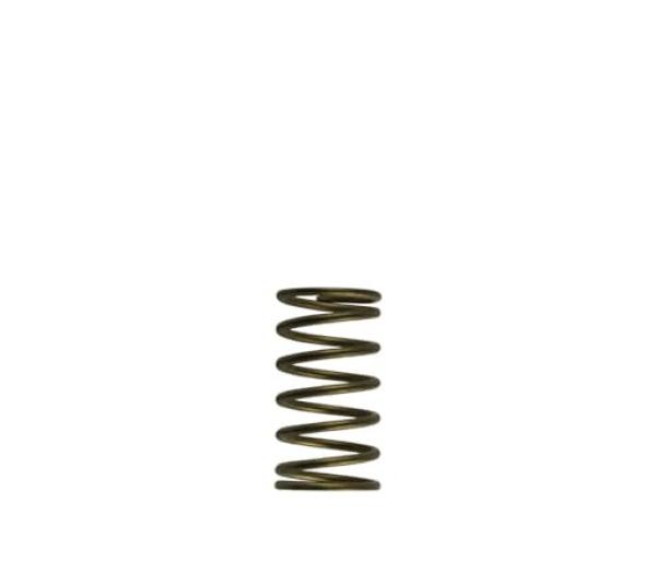 TS Wastegate Springs Turbosmart TS-0550-3089