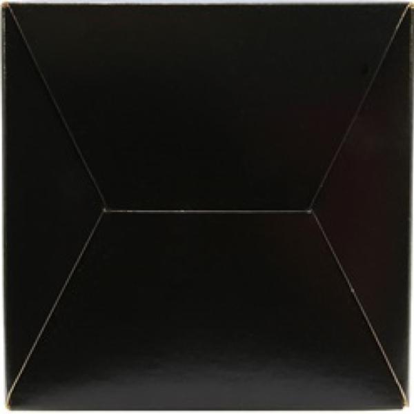 AEM Induction 21-203D-HK