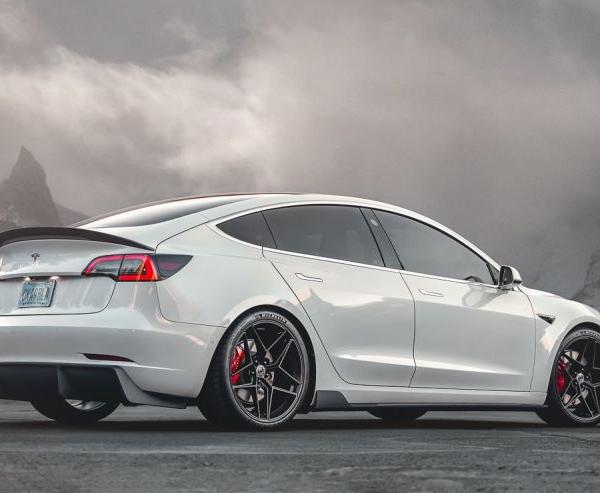 Vivid Racing VR-TSLM3-610-M