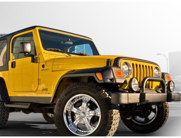 Bushwacker 10917-07