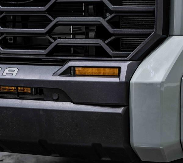 Diode Dynamics DD7417P