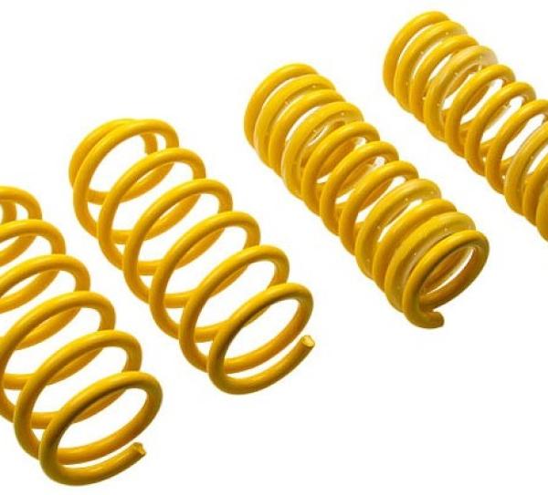 STS Lowering Springs ST Suspensions 28230195