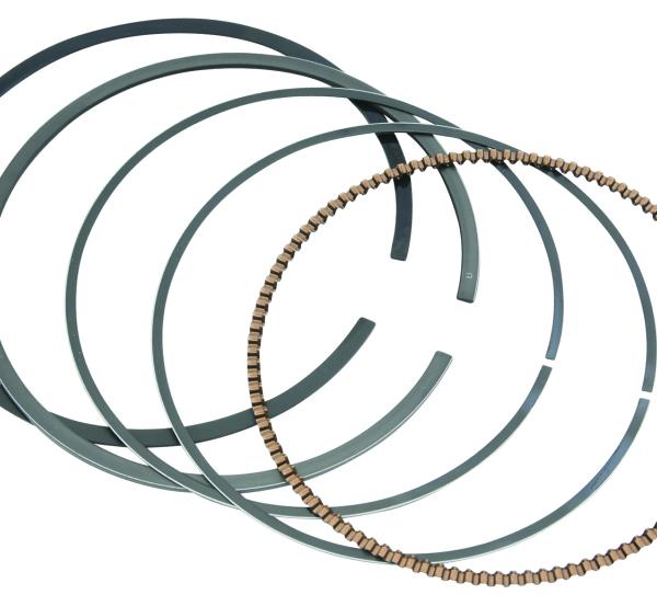 Vertex Pistons 24485