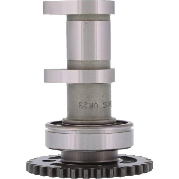 HDS Misc Powersports Hot Cams 2218-1IN