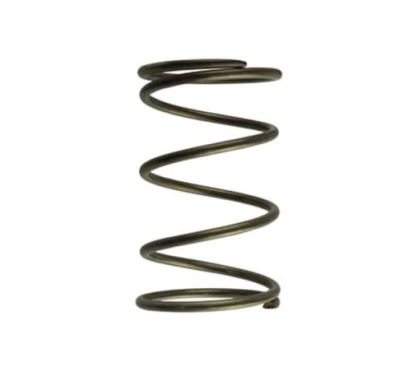 TS Wastegate Springs Turbosmart TS-0550-3092