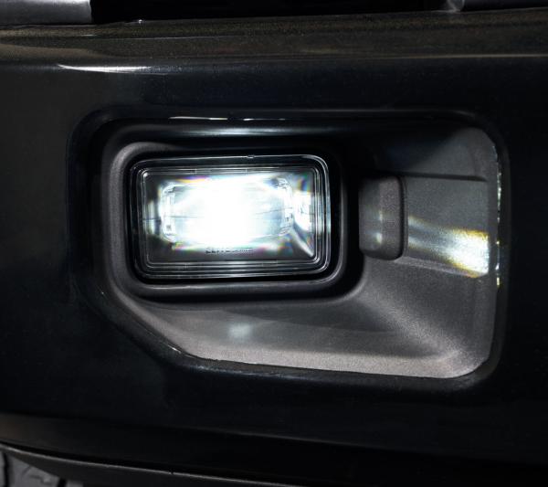 Diode Dynamics DD5174P