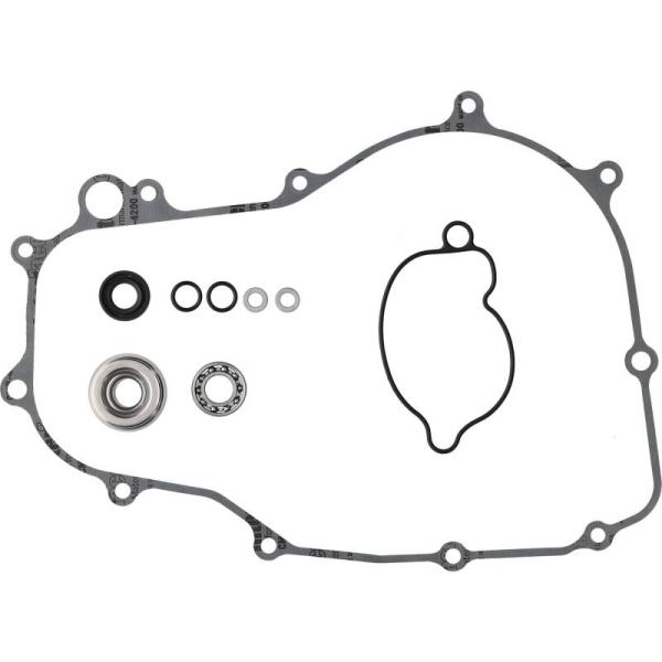VEP Water Pump Rebuild Kit Vertex Pistons 8210030